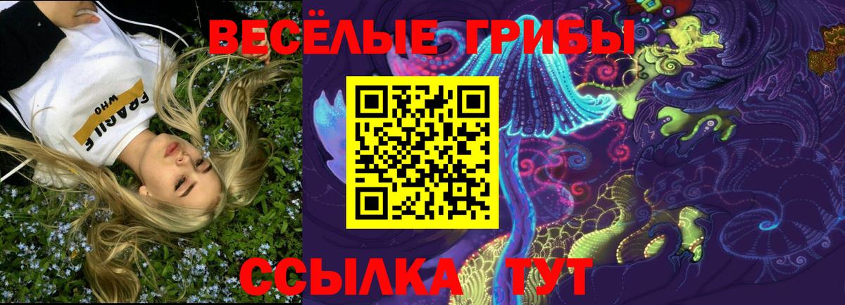 Канаш  Галлюциногенные грибы GOLDEN TEACHER  Вход с VPN 